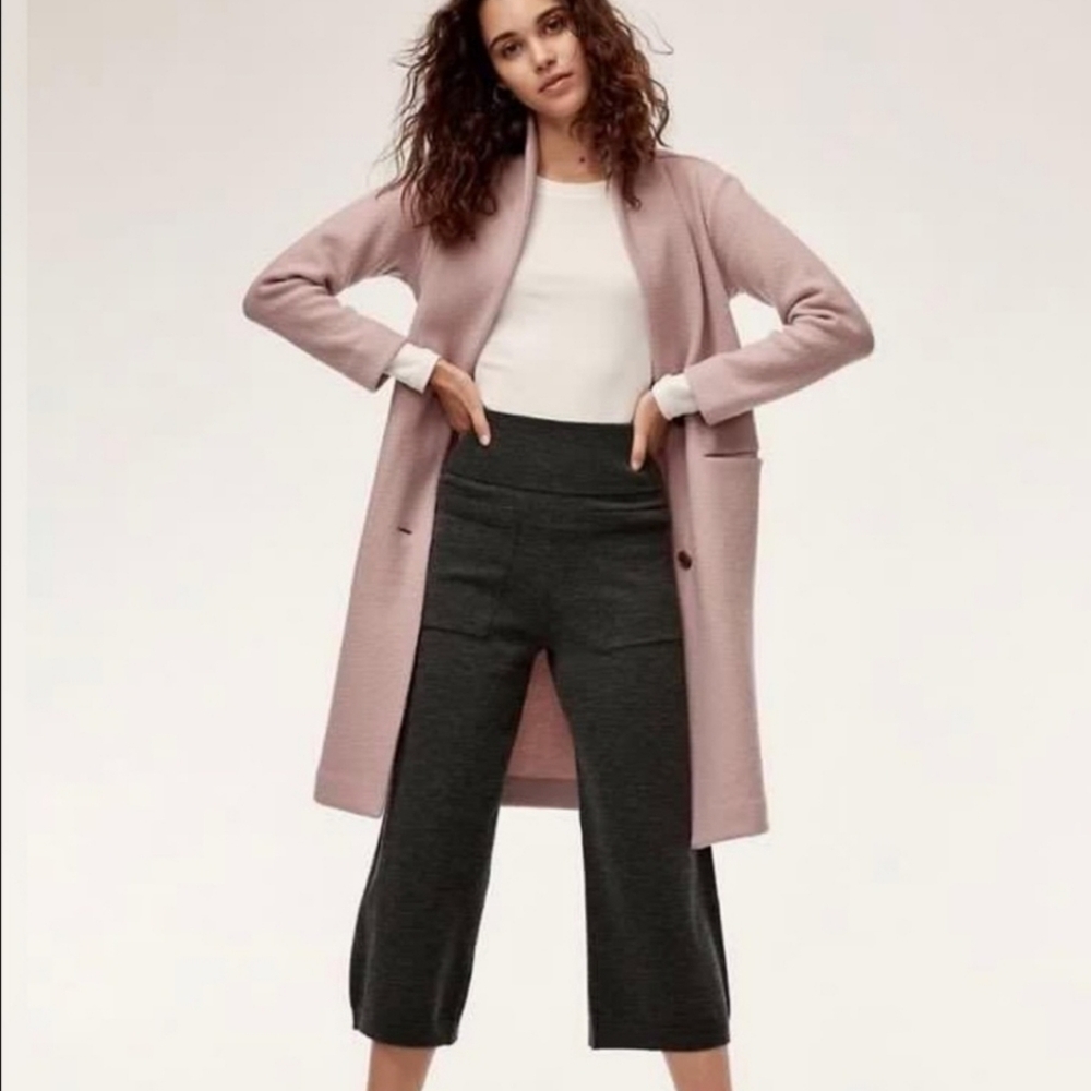 Aritzia Wilfred Brion pant grey